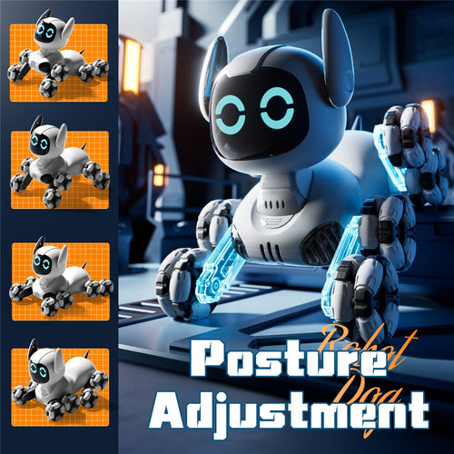 4DRC 4D-Y9 RC Robot Dog