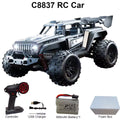 4WD Off Road RC Buggy C8838